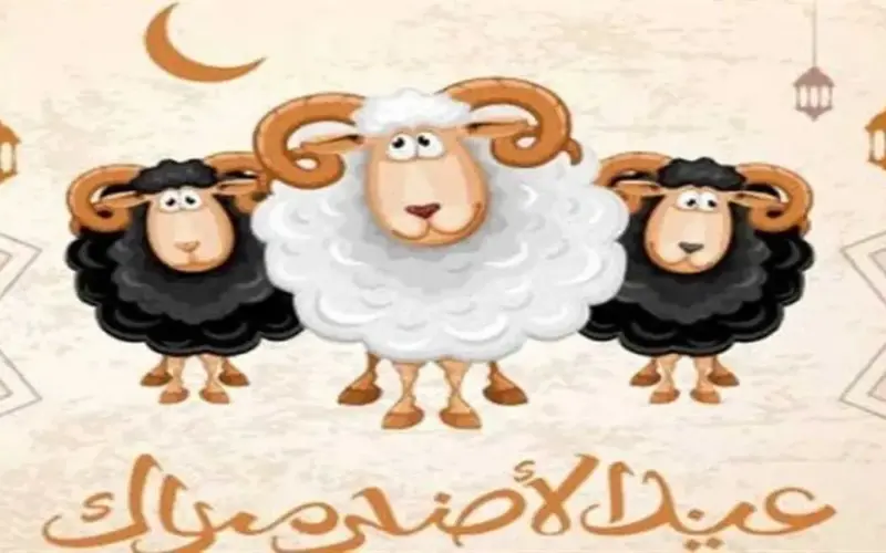 باقي كام يوم؟.. موعد أول أيام عيد الأضحى 2026 فلكيًا بهذا التاريخ